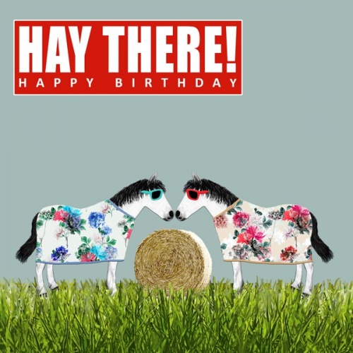 ''Hay There ''  Birthday Card by Scaffardi